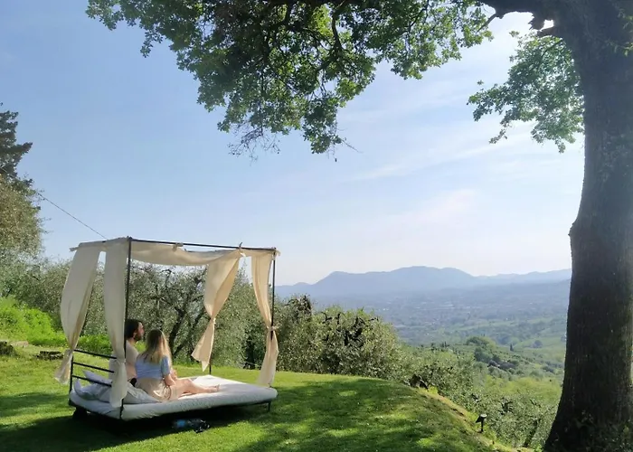 Azienda Agricola e Agriturismo Forestaria Capannori